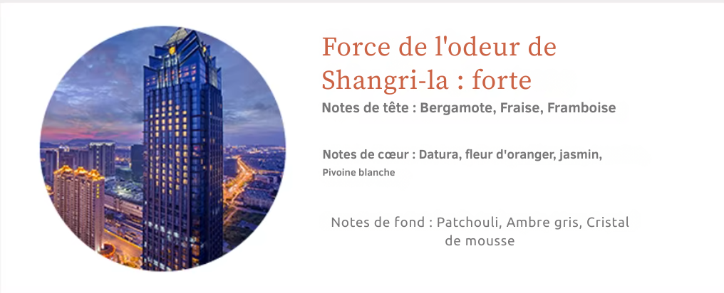 Huiles parfumées 100 ml pour diffuseurs à nébulisation | Senteurs d’hôtel – AROMAHUILES