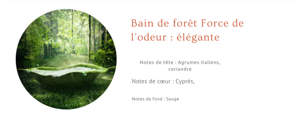 Huiles parfumées 100 ml pour diffuseurs à nébulisation | Senteurs d’hôtel – AROMAHUILES