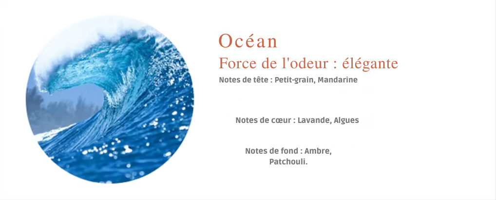 Huiles parfumées 100 ml pour diffuseurs à nébulisation | Senteurs d’hôtel – AROMAHUILES