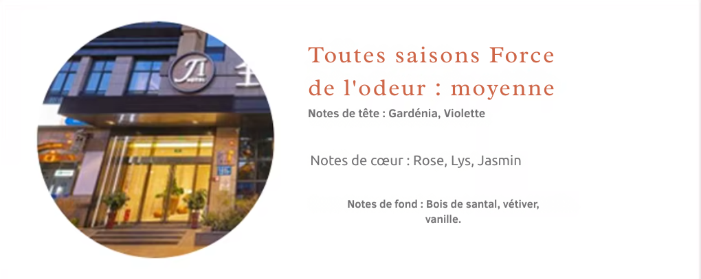 Huiles parfumées 100 ml pour diffuseurs à nébulisation | Senteurs d’hôtel – AROMAHUILES