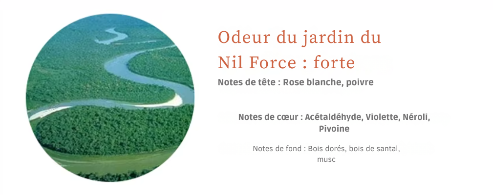 Huiles parfumées 100 ml pour diffuseurs à nébulisation | Senteurs d’hôtel – AROMAHUILES