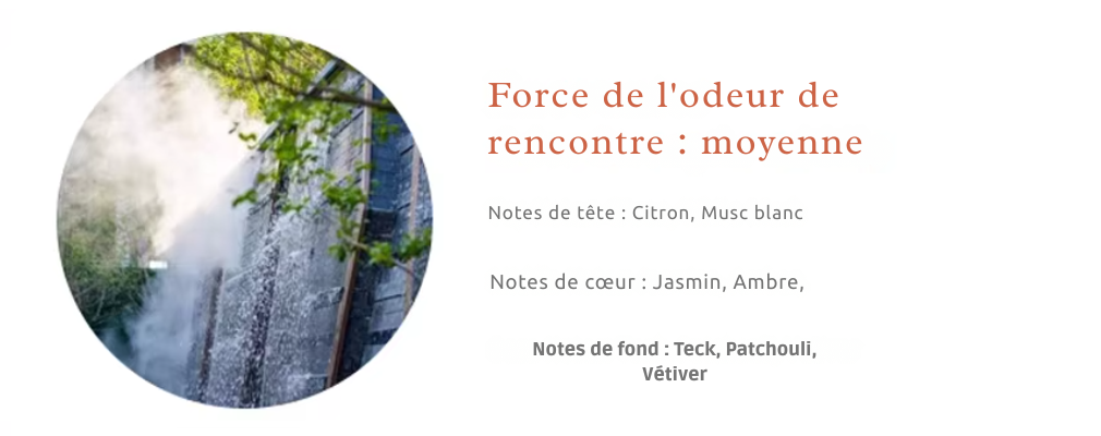 Huiles parfumées 100 ml pour diffuseurs à nébulisation | Senteurs d’hôtel – AROMAHUILES